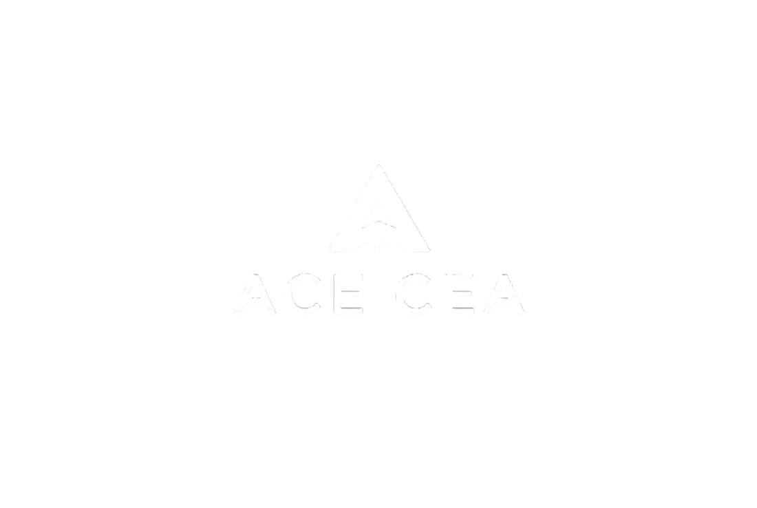 Welcome to ACE CEA: Where Comfort Meets Style