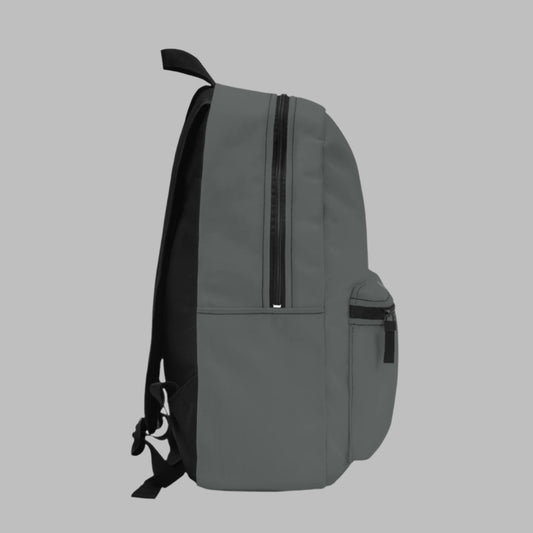 ACE CEA Voyageur Backpack