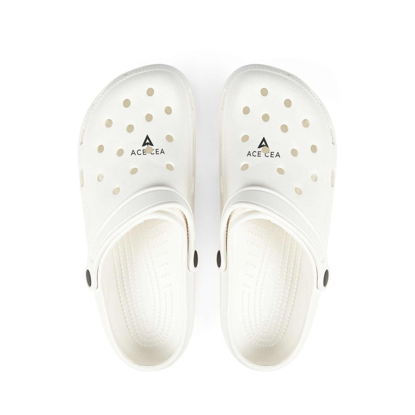 ACE CEA CloudSlides