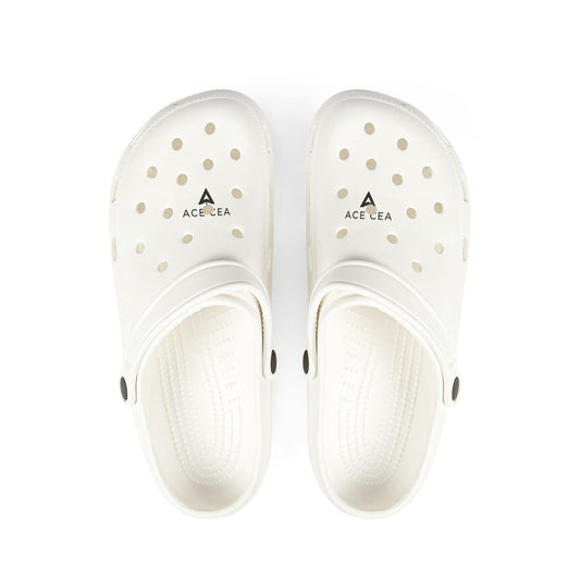 ACE CEA CloudSlides