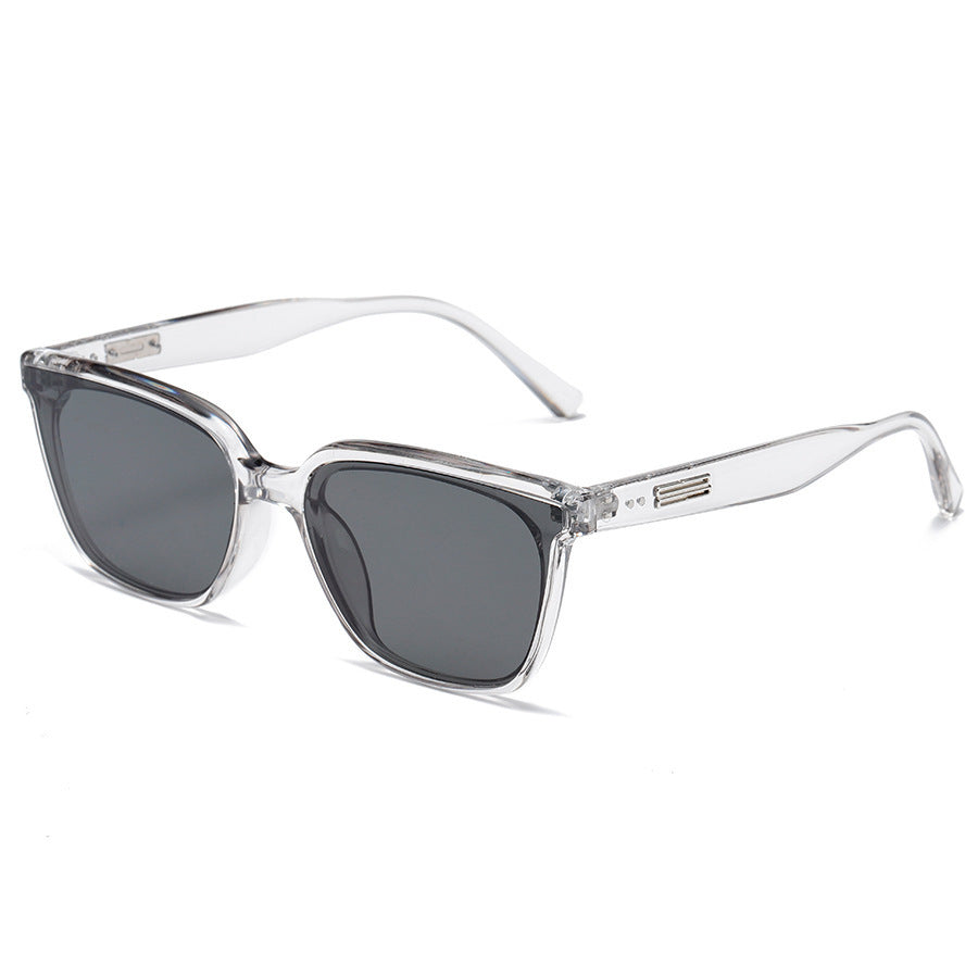 ACE CEA Classic Full-Frame Sunglasses