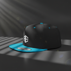 The ACE CEA Apex Flat Bill Snapback
