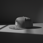 Flat Bill Snapback Hat with AE Monogram Embroidery