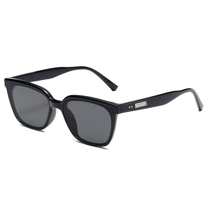 ACE CEA Classic Full-Frame Sunglasses